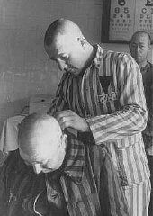 Shaving an inmate at the Sachsenhausen concentration camp. Germany